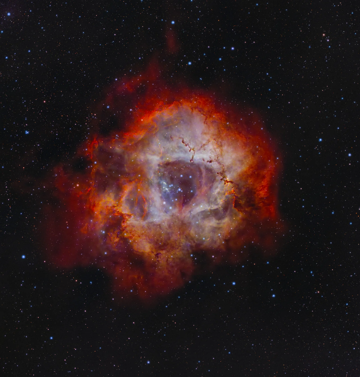 The Rosette Nebula